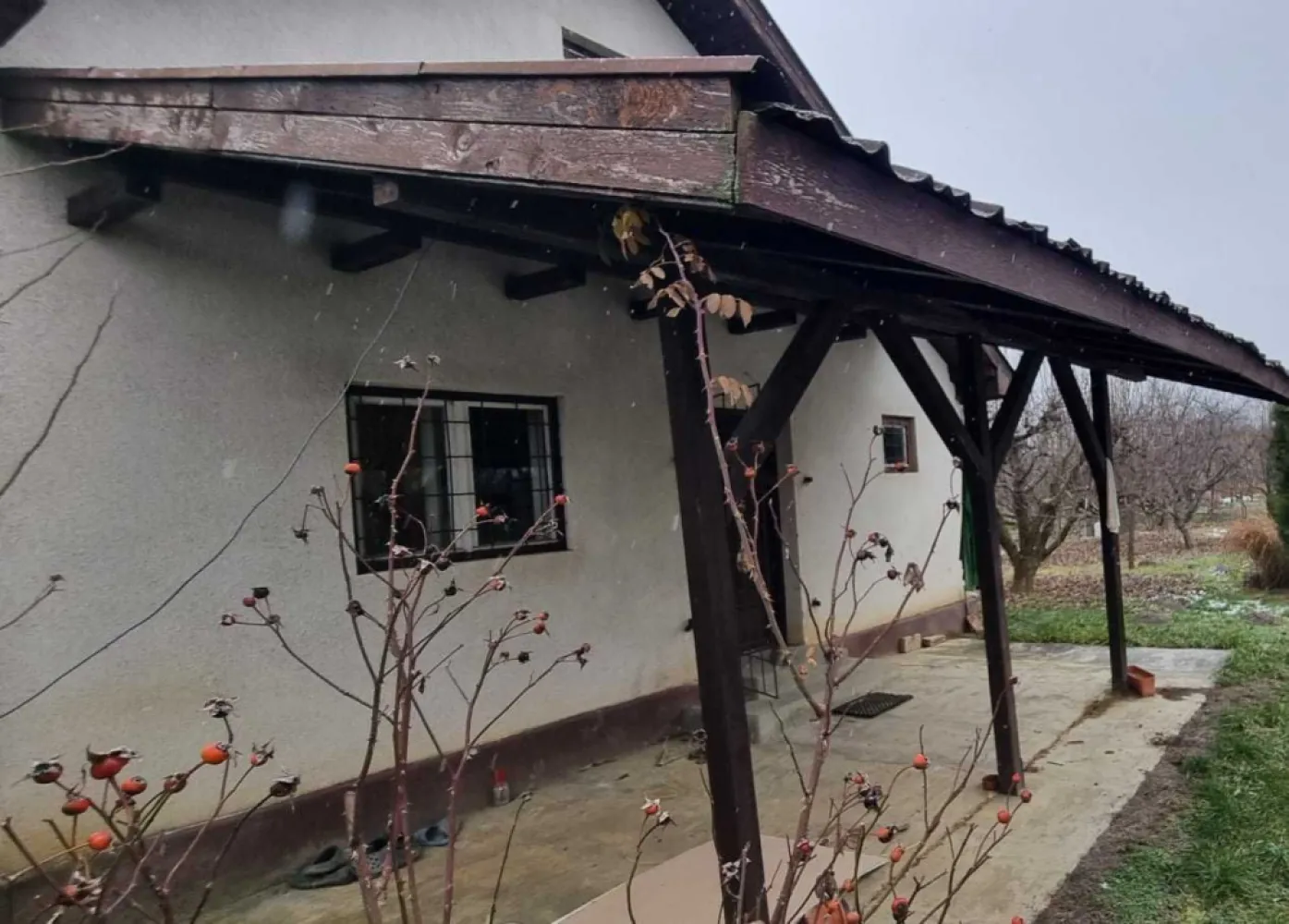 Casa cu 7,7 ari de teren in Bercu rosu, strada Afinelor - Casa construita in anul 1997 din zidarie, pe fundatie din beton, cu suprafata utila de aproximativ 52 mp compusa din living cu bucatarie si mansarda, plus un beci generos, si terasa acoperita in fata casei.

Casa este foarte luminoasa si bine pozitionata, si s-a pastrat in conditii excelente fara infiltratii, igrasie sau mucegai. Geamurile sunt duble din lemn, usa este din lemn. Accesul atat pietonal cat si auto la casa se face pe un drum de 60 de metri care este inscris in cf. 
Curtea este bogata in spatiu verde, exista si un gril, livada de meri, peri, pruni, mure, zmeura, smochin, capsuni,gutui si vita de vie cu struguri albi si rosii.

Utilitati: curent, apa canalizare, fibra optica introduse de curand.Gazul se gaseste la strada in fata proprietatii.
Se accepta si variante : garsoniera in zona decenta plus diferenta de bani, sau 2 garsoniere.
Detin toate documentele care atesta constructia casei la standardele legale ( proiect, autorizatii, facturi, chitante ).
Sunati-ma doar daca sunteti interesati (zero,sapte,patru,zero,unu,doi,opt,opt,cinci,sapte ) exclus orice fel de intermediari.