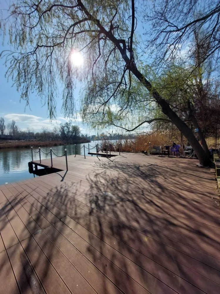 Vila cu ponton la lacul Snagov - Proprietar, vand vila P+1 in Izvorani, Ilfov, avand o suprafata de 160 m.p., cu iesire si ponton la lacul Snagov. Casa este amplasata in zona Padurii Snagov si a Comitetului Olimpic si Sportiv Roman. Zona este superba si extrem de linistita. Puteti avea propria delta, la mai putin de 30 de minute de Mall Baneasa si la aproximativ 10 minute fata de Corbeanca. Pontonul este foarte mare si se afla in coproprietate cu 4 familii vecine. Vila poate fi folosita atat ca si casa de vacanta, cat si ca locuinta permanenta. Vecini VIP.