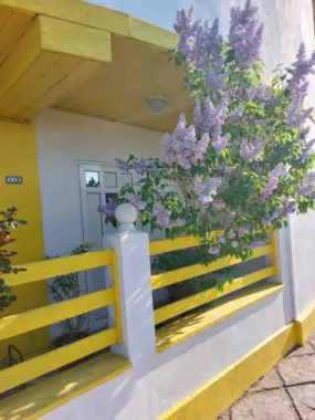 Vila cu ponton la lacul Snagov