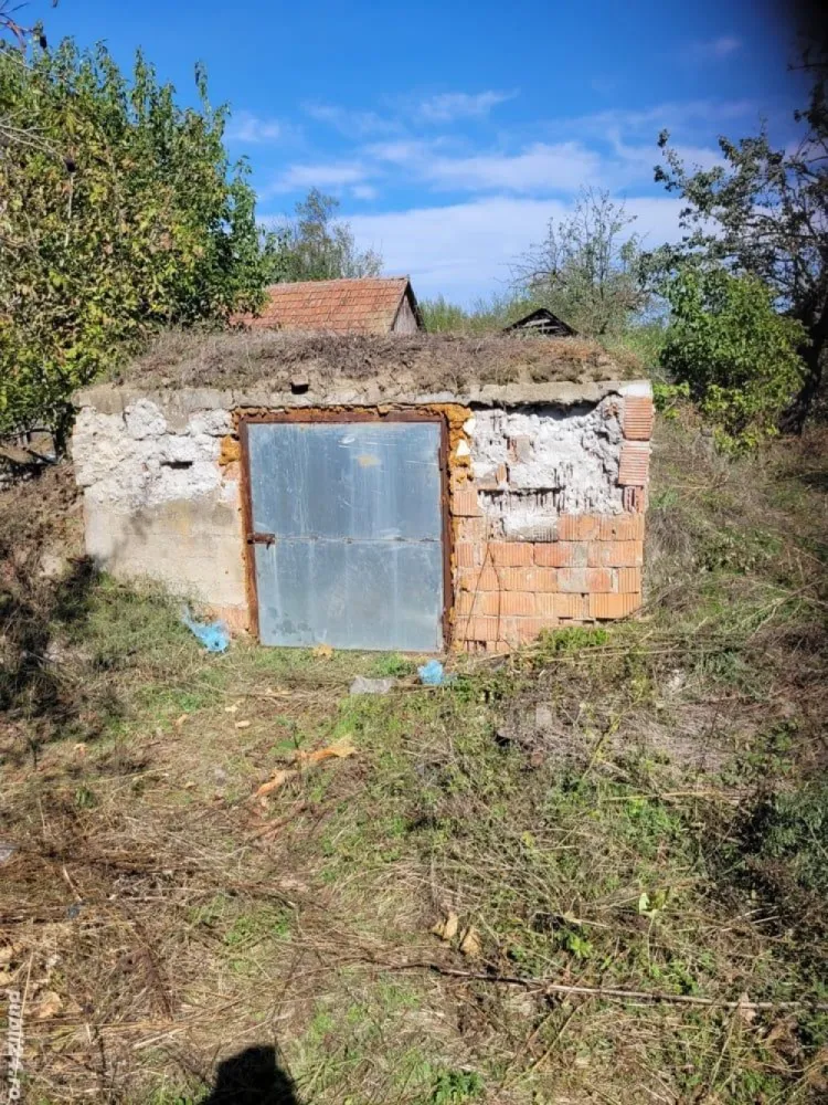 BRASADAS vinde casa in Moftinul Mare. - Agenția imobiliara BRASADAS vinde casa in Moftinu Mare in apropierea gari,casa compusa din doua camere salon mic hol baie neamenajata si bucatarie,cu multe anexe in curte, o balta de pescuit iar inca una secata teren 6000 mp intravilan cu doua intrari cu posibilitatea de parcelare,casa se afla intr-o zona retrasa impadurita la 300 metri de vecini,incalzirea se face cu sobe de teracota,apa de la put forat si fantana curentul in momentul de fata este debransat necesita schimbat transformatorul care va fi facut de cei de la electrica. 
In pret este inclus un kit de 3 kw.
www.brasadas.com.
