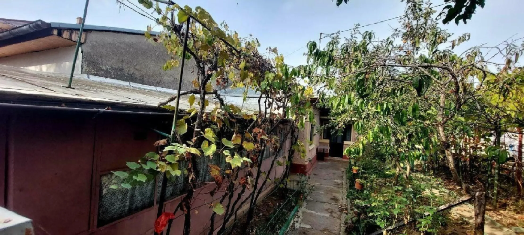 Proprietar casa individuala Bucurestii Noi-Aeromodelului- FARA AGENTII - Proprietar vând casa renovabila de cărămidă, tâmplărie termopan, parchet, construcţie anii '60. Toate utilitatiile sectorului 1. Compartimentare semidecomandata, 3 camere, baie, bucătărie, garaj inchis cu intrare din strada, foişor în curte. Suprafaţa utila 85 mp, suprafaţa totala teren 250,16 mp, deschidere 9,06 ml. Zona frumoasa şi liniştită, în apropiere de mall Colosseum, 15 minute pe jos pana la Metrou Laminorului.
Dispune de cadastru şi intabulare.
Zona Bucurestii Noi, strada Aeromodelului.
Exclusa colaborarea cu agenţii imobiliare.