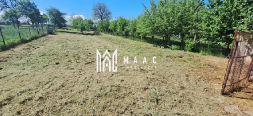 Casa 4 Camere | 1300 mp Teren | Miercurea Sibiului