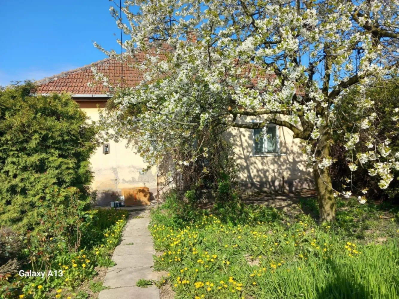 Ag EUROPA vinde casa cu 4 camere si teren de 60 ari in Ambud. - Agentia EUROPA vinde casa cu 4 camere si teren de 60 ari in Ambud.