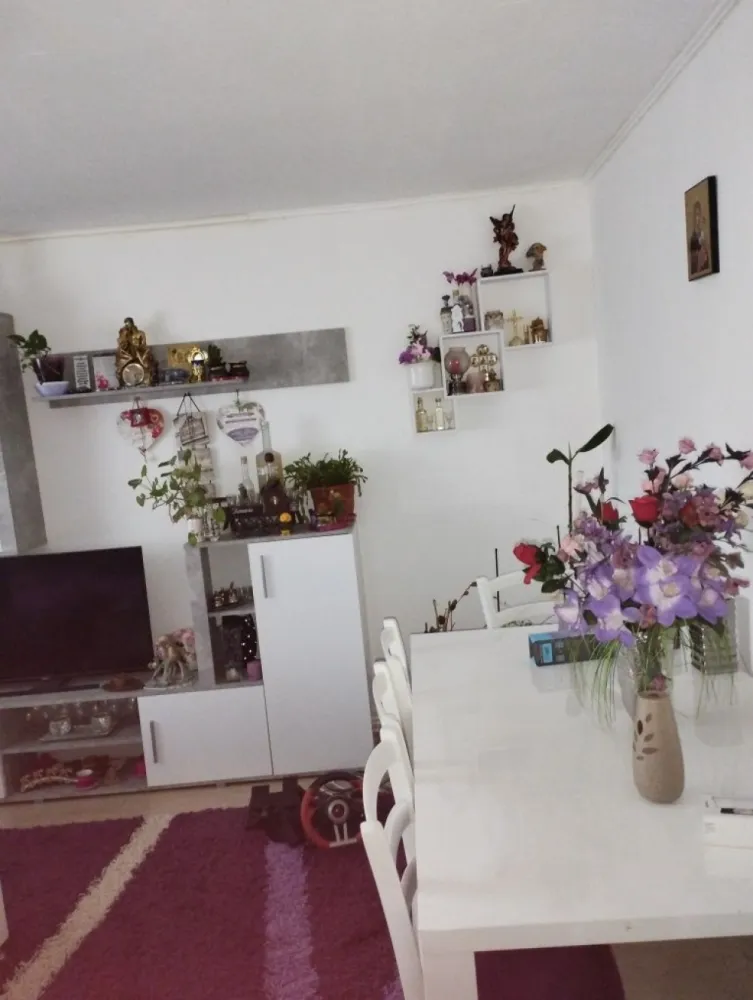 Vind apartament , - Vând ap 3 camere micro 16 str sanatatii linga CBA decomandat parter înalt mobilat in septembrie inst electrica noua ,1 baie,una modificată,bucătărie modificată,centrala noua în garanție,termopane,etc posibilitate de a avea 2 beciuri uscate betonate,bloc din cărămidă,uscător de haine la toate geamurile. Nr telf 07******08.ap se vinde mobilat.negociabil ,se poate și la schimb cu 2 cam plus diferența.. la schimb micro 16 ,Carpați 2.parter.