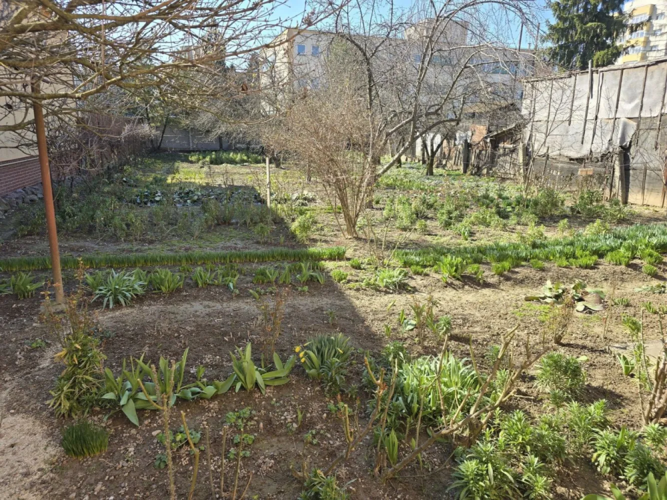 BRASADAS vinde casa 3 cam 120mp teren 7 ari zona Micro 17. - Agenția imobiliara BRASADAS vinde casa cu 3 camere cu suprafata utila de 120 mp. si teren aferent de 700mp. Bucatarie, baie si terasa in spate. 
Este situata in zona Micro 17 aproape de scoli, magazine cabinete medicale. 
Se poate face si intrare cu masina in curte fiind spatiu suficient. 
Este in stare foarte buna locuibila si mobilata. 
Pentru mai multe oferte accesați www.brasadas.com.