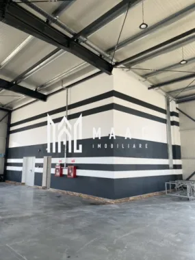 Hală logistică I 1200 mp I Acces TIR I Birouri I Tălmaciu