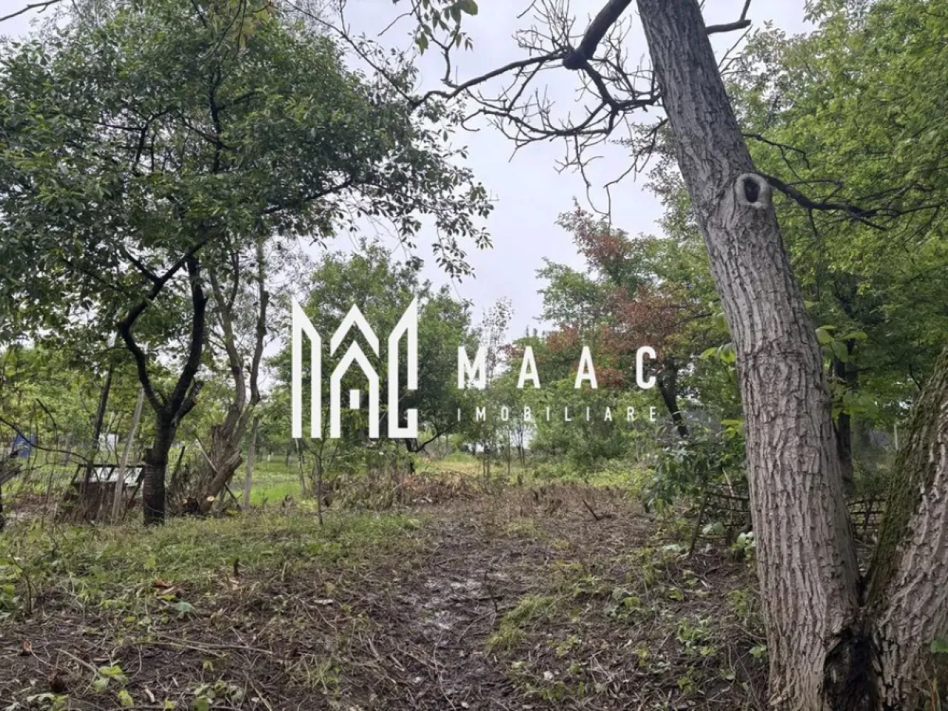 Casa 2 corpuri individuale I Bungard I Teren 720mp - MAAC Imobiliare vă propune spre vânzare o casă spațioasă, situată în Șelimbăr, sat Bungard, la doar 6 km de Sibiu și 4 km de Shopping City Sibiu, într-o zonă liniștită, fără trafic, ideală pentru o familie care caută intimitate. Detalii proprietate: Suprafață totală teren: 720 mp Suprafață locuibilă: 150 mp + anexe Singur în curte – intimitate deplină Compartimentare - 2 corpuri de casă: Corpul 1: 3 camere, bucătărie, baie, 2 holuri, debara Corpul 2: Parter: living, bucătărie, baie, hol Etaj (pod mansardat): 2 camere spațioase, dressing, hol generos Toate utilitățile racordate Pivniță de 15 mp Foișor/terasă mare cu grătar – perfect pentru relaxare în aer liber Curte și grădină – ideal pentru familie sau activități recreative Avantaje: Zonă verde, liniștită, cu acces facil spre Sibiu Spațiu generos, potrivit pentru două familii Ideală pentru locuință permanentă Casa si curtea necesita investiții/amenajari. 📞 Contactează echipa MAAC Imobiliare pentru mai multe detalii sau pentru a programa o vizionare, menționează CP2551925! }}