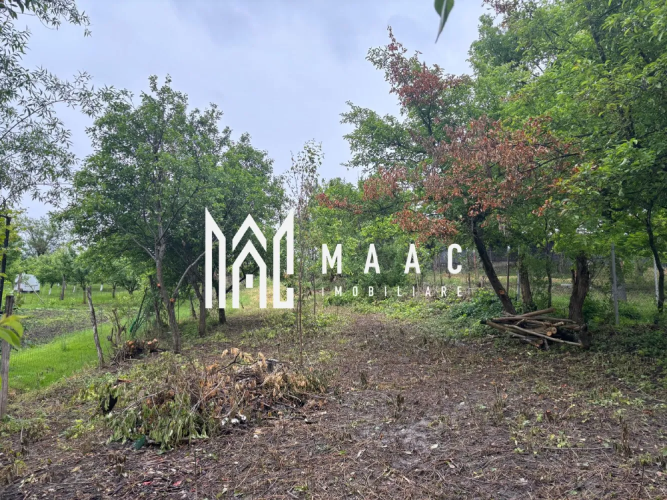 Casa 2 corpuri individuale I Bungard I Teren 720mp