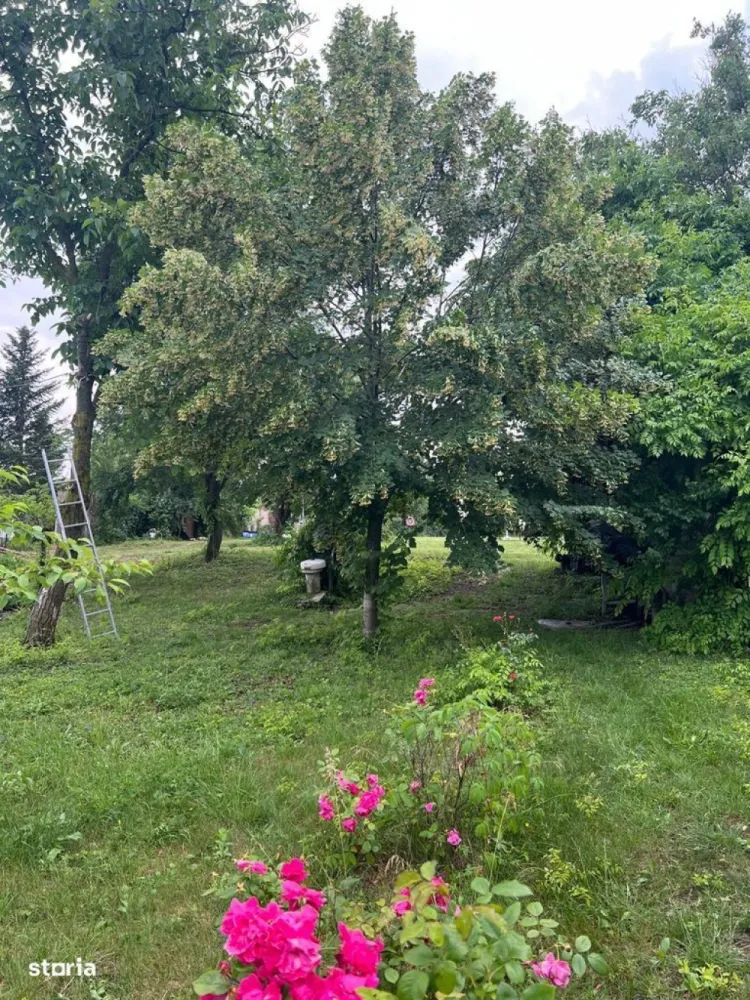 ofer spre vanzare teren pe malul lacului Snagov si vila S+P+E+M - Imobil excelent cu potențial de Dezvoltare Turistică și Rezidențială situat in satul Ghermanesti, cu o deschidere de 37 ml la str. Razboieni (asfaltata) si o deschidere generoasa de 31 ml la mijlocul lacul Snagov ce beneficiază de toate utilitatile (electricitate, apă, gaz și fose septica) .Imobilul este format din teren intravilan in suprafata de 7610 mp , doua constructii: o constructie edificata in anul 1990 si renovata in 2022 din caramida si plansee de beton si acoperita cu tabla Lindab, cu o suprafata desfasurata de 300 mp, avand regim de inaltime S+P+E+M si o constructie veche din 1910 avand regim de inaltime P+M si o suprafata desfasurata de 120 mp (ce poate fi renovata / extinsa rapid) , ponton existent si garaj pentru barcă.Fiind amplasat intr-o zonă recunoscută pentru caracterul sau exclusivist, foarte linistita situata langa Padurea Vladiceasca, cu acces direct la Lacul Snagov si avand o vegetatie bogata si numerosi pomi fructiferi ce ofera intimitate si aer curat, imobilul este o oaza de relaxare fiind ideal pentru uz rezidential de lux.Avantajele si potentialul investitional al imobilului: -Oportunitate deosebită pentru dezvoltări imobiliare mixte cu potențial rezidențial de lux sau destinație turistică premium. avand in vedere caracterul parcelabil al terenului (pana la 10 parcele + drum)-Potențial Rezidențial terenul fiind ideal pentru dezvoltarea unui ansamblu de vile de lux, unele cu vedere la lac, terase, spații verzi private și facilități nautice.-Potențialul investițional este ridicat in contextul cererii în creștere pentru locuințe de vacanță sau reședințe permanente în zone retrase, dar apropiate de București si avand in vedere numarul limitat al imobilelor aflate pe malul lacului Snagov .-Potențial dezvoltare imobiliară Turistic avand in vedere ca lacul Snagov este deja o destinație cu notorietate pentru agrement nautic, pescuit, sporturi pe apă și relaxare. Terenul permite extinderea pontoanelor și construirea unor unități turistice tip bungalow, case plutitoare sau ecovile. Un mini-resort cu ponton privat, spa, restaurant cu vedere panoramică și acces direct la apă este fezabil.-Potențial de valorificare ridicat în regim de închiriere (rezidențial de lux sau turistic) avand in vedere cererea ridicată pentru terenuri cu deschidere la lac și infrastructură existentă. Avantajele amplasarii:- in imediata apropiere a stației de autobuz "Stadionului",-la cativa pasi de Stadionul FC Snagov, -foarte aproape de supermarketul Peny si alte cateva magazine alimentare, -la 2 statii de autobuz de Primaria Snagov.-la 7 km (5 minute de mers cu masina) de autostrada A3 Bucuresti - Ploiesti de unde se poate ajunge facil atat in capitala cat si in Ploiesti.-acces rapid scoala, gradinita si dispensare, -acces usor la DN1.-langa padure-pe malul lacului