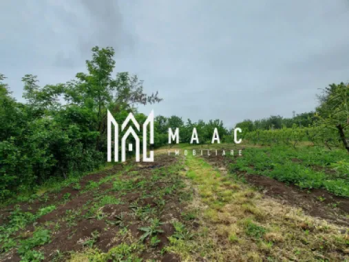 Casa | 1331 mp Teren | Miercurea Sibiului |