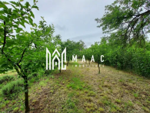 Casa | 1331 mp Teren | Miercurea Sibiului |