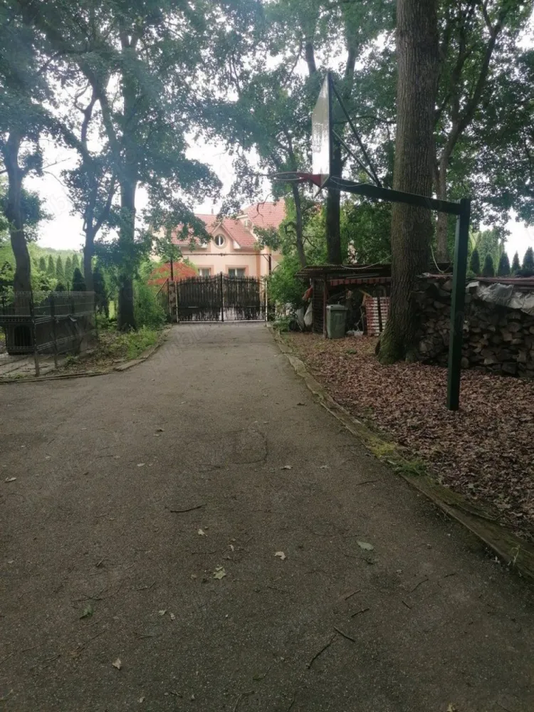 BRASADAS vinde casa tip P+M+D Padurea Noroieni. - Agentia Imobiliara BRASADAS vinde casă tip P+M+D, situată în zona Pădurea Noroieni, îți oferă o astfel de promisiune. O promisiune a unei vieți mai simple, mai sănătoase, mai conectate cu esența naturii.

Ce înseamnă 300 m utili din care 100mp pivnita și 2100 m de teren? Înseamnă spațiu. Spațiu pentru tine, pentru pasiunile tale, pentru familie, pentru a respira adânc și a te reconecta cu tine însuți.

Îți poți imagina mesele în familie cu legume proaspete din propria grădină? Gustul autentic al alimentelor organice, hrănitoare și pline de vitalitate. Un dar prețios pentru sănătatea ta și a celor dragi.

Cum ar fi să nu te mai preocupe facturile uriașe la energie? Panourile fotovoltaice de 13kW oferă independență energetică, o liniște financiară și o contribuție semnificativă la protejarea mediului. O alegere inteligentă și responsabilă.

Îți dorești un loc unde relaxarea este la ea acasă? Jacuzzi, saună, șemineu - oaze de bine și confort, create pentru momente de răsfăț și revitalizare.

Ce reprezintă facilitățile moderne într-un cadru natural? Confortul vieții contemporane îmbinat armonios cu farmecul și liniștea naturii. Ai tot ce îți trebuie la îndemână, fără a renunța la frumusețea și simplitatea vieții în aer liber.

Te atrage ideea unei case deja mobilate și utilate de lux? Un cămin primitor, gata să te îmbrățișeze, fără griji și fără efort suplimentar.

Dar dacă visul tău de a locui într-un astfel de loc ar putea deveni realitate mai ușor decât crezi? Finanțarea directă de la proprietar, în rate flexibile pe până la 3 ani, îți deschide o poartă spre posibilități neașteptate.

Nu-i așa că îți dorești un loc unde să te simți cu adevărat acasă? Un refugiu personal, o oază de liniște, un spațiu unde tu și cei dragi puteți crește, vă puteți dezvolta și puteți trăi o viață împlinită.

Această casă este mai mult decât o proprietate. Este o invitație la un stil de viață diferit. Un stil de viață care pune preț pe sănătate, natură, armonie și bunăstare.

Pentru cine este această casă? Pentru cei care prețuiesc liniștea, natura și un stil de viață sănătos. Pentru familii care își doresc o copilărie de calitate pentru copiii lor. Pentru cei care caută un refugiu personal, departe de agitația orașului.

Te invită să te oprești, să respiri adânc și să te imaginezi trăind aici. Să simți liniștea, să guști aerul curat, să te bucuri de frumusețea naturii.

Dacă te atrage această imagine, poate că această casă este locul pe care îl cauți.

Vino să o descoperi. Sună și programează o vizionare.

Www.brasadas.com.