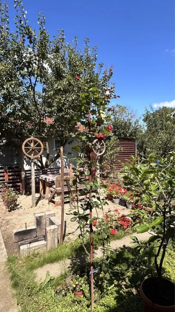 BRASADAS vinde casă cu etaj 8 cam 8 ari zona BOTIZULUI. - Agenția imobiliara BRASADAS vinde casă în zona ștrandului vechi, sau schimba cu casă la țară + diferența. Proprietatea se află într-o zonă bună, liniștită, în plină dezvoltare, la 15 minute de mers pe jos de centru, sau 5 minute cu mașina. Aceasta dispune de o suprafață utilă de 160 mp, și teren cu suprafața totală de 8 ari. 
Casa este împărțită în trei spații separate de locuit, având în total 8 camere. 
Două dintre aceste spații de locuit sunt finisate, iar una nefinisată, toată construcția fiind dispusă pe două niveluri. 
Proprietatea dispune și de o anexă în partea din spate a curții, folosită pentru depozitare. 
Dispune de toate utilitățile. 
Pentru mai multe oferte accesați www.brasadas.com.