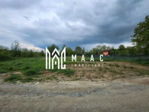 Teren intravilan | 1.670 Mp | Daia Nouă