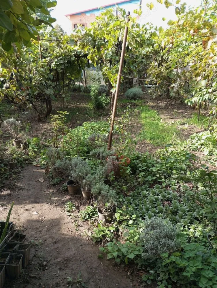Casă și teren zonă ultracentrală,560 000 euro - Vând casă și teren zonă ultracentrală, Sf Andrei 280 mp poze reale ,la prețul de 560 000 euro
Mai multe detalii la telefon zero 7trei8 doi21 doi4trei.
Actele sunt la zi.
