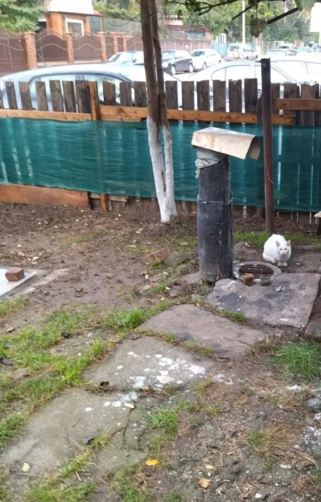 Casă Tătărași excepțional situată! - Persoană fizică vând casă excepțional situată pe str Ion Creangă pe un teren de 313 m.p.

Front stradal:17,20 m

In zonă sunt construcții noi cu regim de înălțime :D+P+1+M

 Casa poate fi transformată într-o bijuterie cu ceva atenție sau se poate construi in loc o vila cochetă sau un spatiu comercial datorită vadului excelent.

Beneficiați de toate utilitățile:gaz,curent electric, apă curentă,canalizare,asfalt,iluminat stradal,multe mijloace de transport.

Foarte aproape de casă:cabinete medicale,lic.Cuza,scoli,grădinițe,supermarketuri, piață agroalimentară.

Pot lua în calcul și un schimb de locuințe în Iași.

Preț foarte bun:casă+teren:145 000 euro