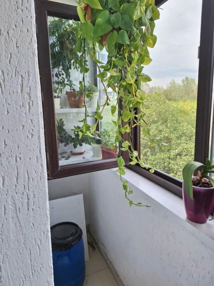 Casa de vanzare Aparatorii Patriei - Persoană fizică 
Vând casă p+ 2 etaje, aflata într-un complex case înşiruite, construită în anul 2017 
Casa dispune de 4 camere, dresing, baie, wc serviciu, bucătărie, balcon.
Suprafață totală 102 m2 
Se vinde cu două locuri de parcare si terasa. Suprafata 40 m2 .
Este poziționată între două stații de metrou: apărătorii patriei respectiv Dimitrie Leonida la o distanță de 8 9 minute de mers pe jos. (Drum asfaltat)
Încălzirea se face cu centrală proprie și dispune de toate utilitățile: 
Apă, gaz, curent, internet.
Cer și ofer seriozitate.
Exclus intermediari!!!