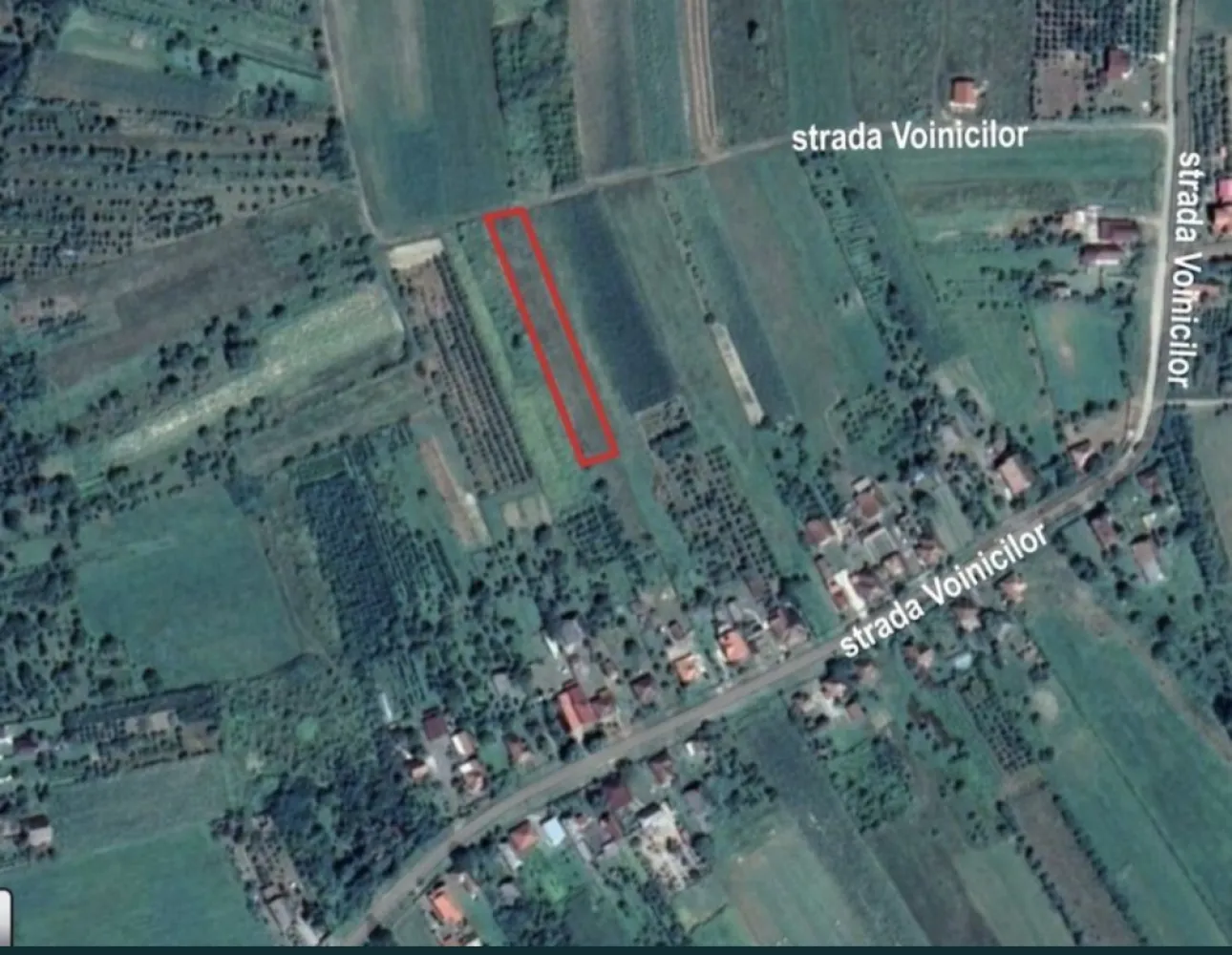 Teren intravilan - Vând urgent teren intravilan in suprafață de 2628 mp, in Viile Satu Mare,strada Voinicilor, Nr 12.