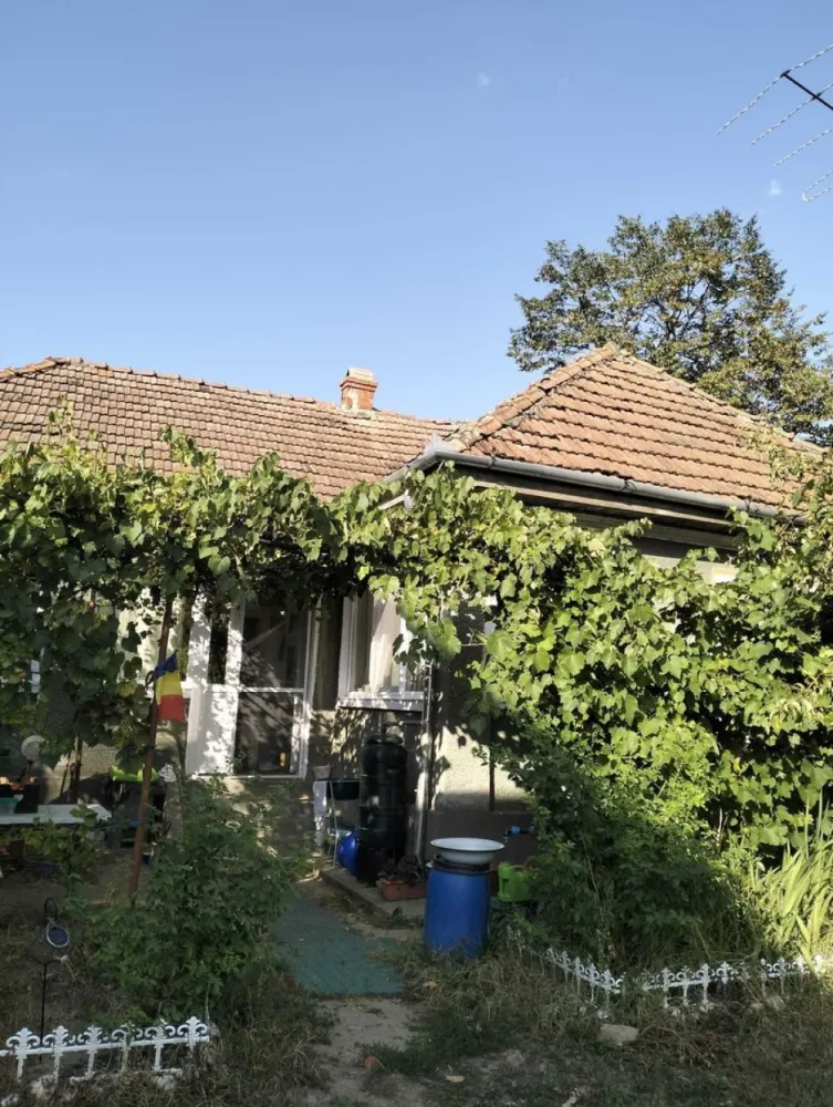 Casa 81mp, teren 81 ari, anexe, pomărie tânără de meri de vânzare - Casa, teren, anexe și pomărie tânără (de meri, diverse sortimente) cu posibilitate de afacere - de vânzare în Valea Vinului Satu Mare.

*Casa de 81 de mp, cu 3 camere, hol și cămară în curs de renovare. Casa este echipata cu geamuri termopan,plase de țânțari şi uşi din termopan noi. 
Sobe cu plita în fiecare camera. Frigidere, congelatoare, rafturi. Sufrageria, holurile şi cămara sunt renovate, celelalte 2 camere necesita renovare.

*Anexe :şură, lemnarie, porumbar, cuptor cu vatră

*Teren de 81 de arii în totalitate imprejmuit cu gard din sarma. Proprietatea are 2 cãi de acces.

*Pomărie cu 350 de meri tineri cu diferite soiuri de meri (cu posibilitate de afacere) - suc de mere, oțet de mere, palinca de mere etc.

Pe teren se mai afla și peri, pruni, gutui, nuci, vişini, cireși, struguri de diferite soiuri.

*Facilităţi :internet, curent electric, hidrofor, sistem de irigare pentru gradina de legume, strada este recent asfaltata. Apa şi canalizarea se afla la strada, gazul va fi introdus în curând în sat.Casa și terenul sunt supravegheate audio/video.
Pentru mai multe informații, poze, filmulețe video nu ezitați sa salvați numărul meu de telefon :0031682877432 pe WhatsApp.
