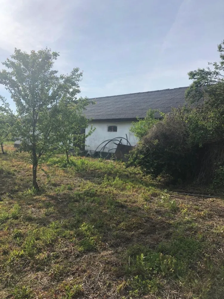 Casa de vanzare in loc. Crucisor - Vând casă 178mp total teren8389mp canalizare gaz apă rețea curen cu anexe șură,bucătărie de vară două garaje ,depozit 147mp balta de pescuit în com Crucisor, loc. Crucisor, Jud Satu Mare tel 07******79 preț 93000 euro, negociabil