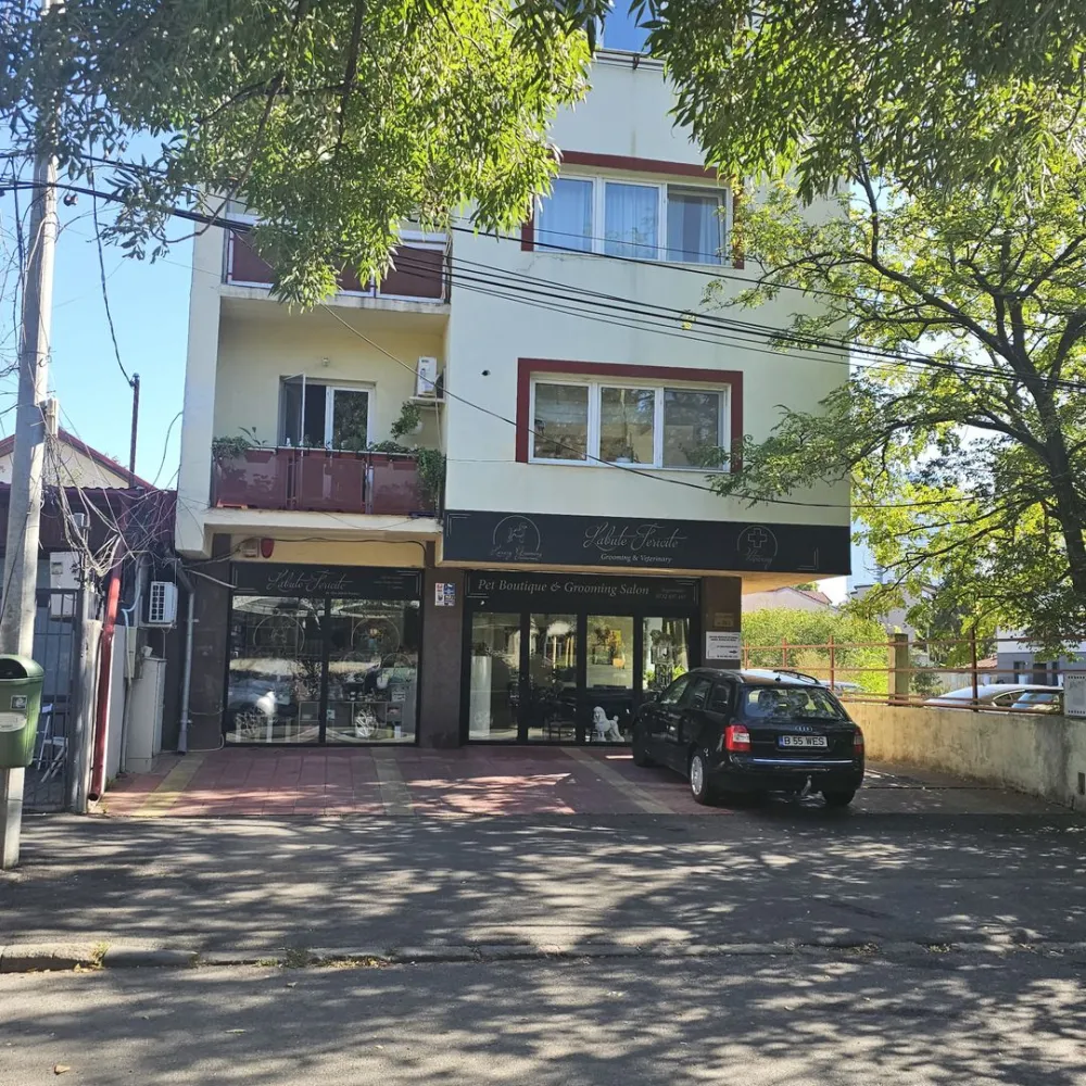 OCAZIE Spatiu Comercial Herastrau/Aviatiei - OCAZIE Se vinde spatiu comercial în zona Herastrau, bloc nou an 2006, suprafață imensa - 188mp utili.
Avem 139mp parter si 49mp subsol, centrala proprie pe gaz, retea climatizare, contract de inchiriere existent pana in 2028. 
Pret 395000EUR