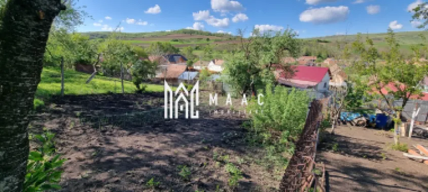 Casă 5 camere I Renovată I 1400 mp I Garaj I Grădină I Hașag