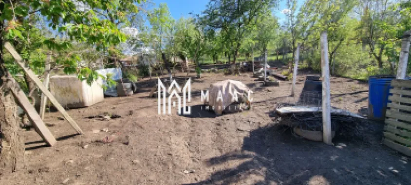 Casă 5 camere I Renovată I 1400 mp I Garaj I Grădină I Hașag