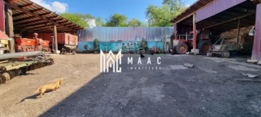 Casă 5 camere I Renovată I 1400 mp I Garaj I Grădină I Hașag