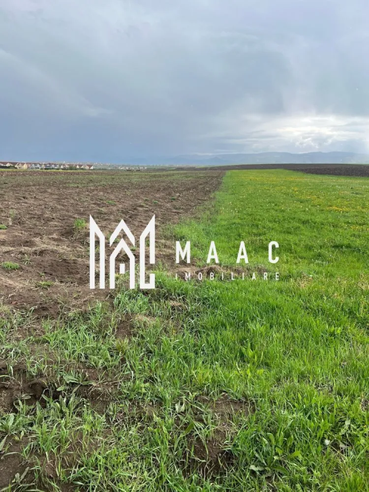 Teren de vanzare | 10.000 Mp | Sura Mica - MAAC Imobiliare vă oferă o oportunitate excelentă de investiție! Teren de 10.000 mp situat într-o zonă în plină dezvoltare, între cartierele rezidențiale Eden și Eva, 🔹 Acces facil 🔹 Poziție avantajoasă 🔹 Potențial ridicat pentru dezvoltare imobiliară 📌 Detalii teren: Suprafață totală: 10.000 mp PUZ în derulare – în faza finală 16 parcele în total Ideal pentru construcții rezidențiale sau proiecte mixte 📞 Pentru mai multe informații, vă rugăm să ne contactați, specificând ID:CP2515081 }}