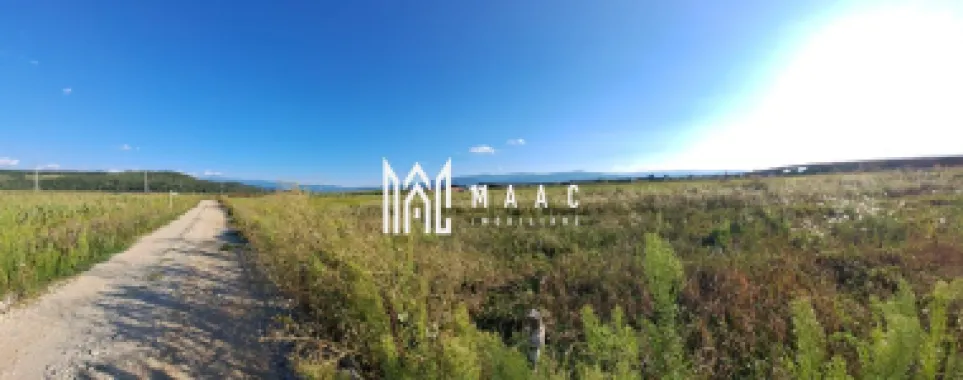 Logo MAAC IMOBILIARE logo