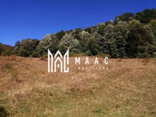 Teren Extravilan 20.000Mp I Stoenești -Vâlcea I Apă Curentă și Pădure