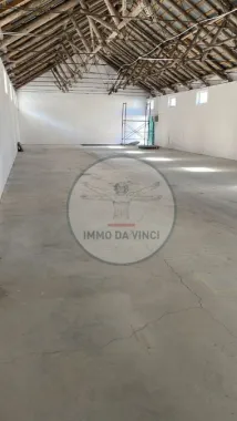 Hală Nouă 270 mp – Str. Depozitelor 56, Satu Mare