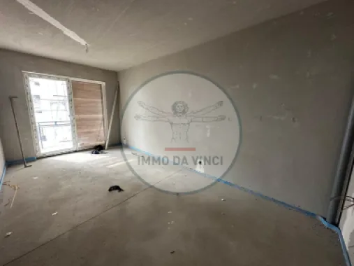Logo Immo DaVinci logo