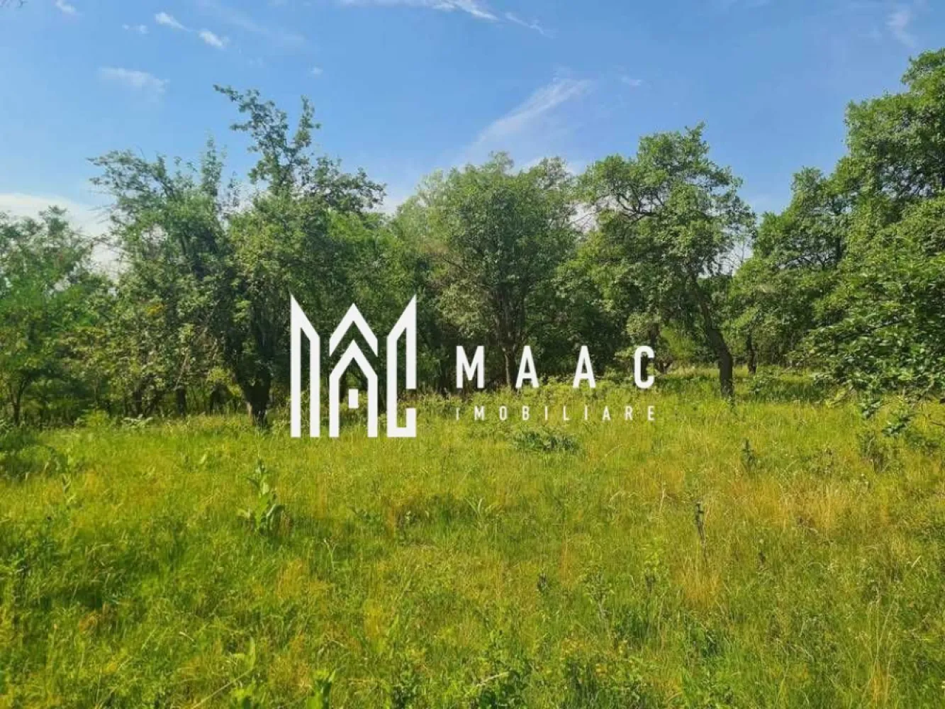 Teren | 12.922 MP | Loamneș - MAAC vă propune spre vânzare un teren generos situat în localitatea Loamneș, la doar 25 km de Sibiu, într-o zonă liniștită, cu aer curat și peisaje naturale specifice zonei de podiș transilvănean.

Proprietatea are o suprafață totală de 12.922 mp, fiind împărțită astfel:

2.547 mp intravilan – ideal pentru construcția unei locuințe
10.375 mp extravilan – perfect pentru grădinărit, agricultură sau investiție

Terenul beneficiază de utilități în apropiere, oferind un avantaj important pentru viitorii proprietari:

-apă deja trasă pe teren
-gaz și curent la stradă
-acces facil, cu drum asfaltat până aproape de proprietate

Zona Loamneș este apreciată pentru liniște, intimitate și proximitatea față de Sibiu, fiind o alegere excelentă atât pentru cei care doresc să construiască o casă departe de agitația orașului, cât și pentru investiții pe termen lung. Poziționarea terenului permite dezvoltarea unui proiect rezidențial, a unei ferme sau a unei gospodării complete.

Avantaje principale:

-suprafață mare, versatilă
-acces rapid către Sibiu
-utilități disponibile
-zonă în dezvoltare
-ideal pentru casă, fermă sau investiție

Pentru mai multe detalii și programarea unei vizionări, vă rugăm să ne contactați telefonic și să menționați : CP3046789