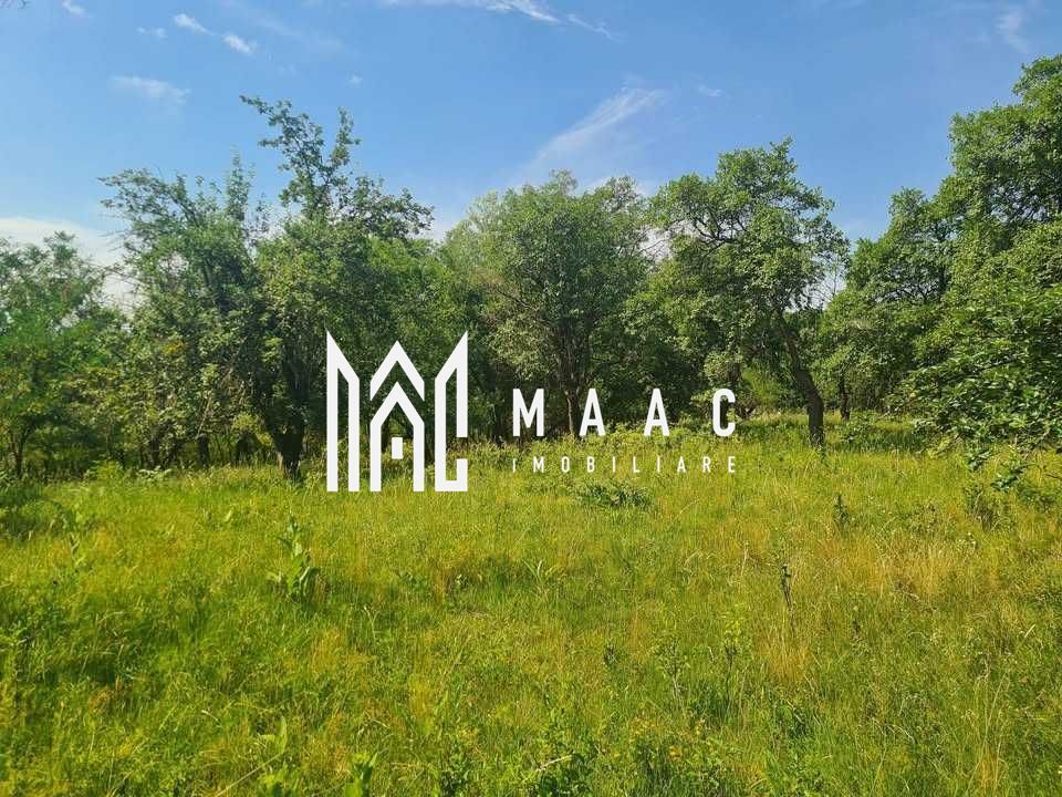 Teren | 12.922 MP | Loamneș