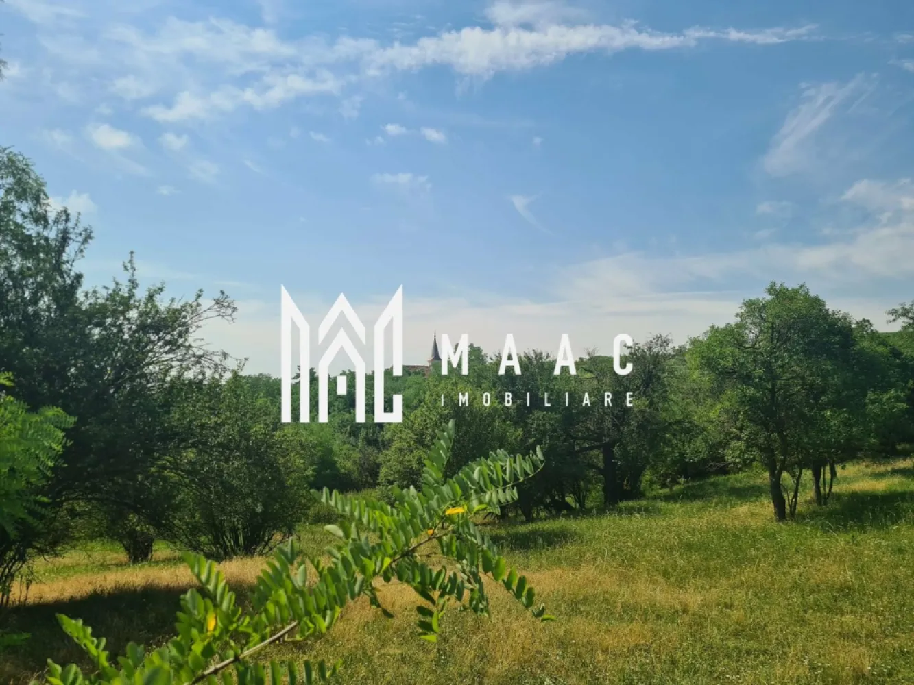 Teren | 12.922 MP | Loamneș - MAAC vă propune spre vânzare un teren generos situat în localitatea Loamneș, la doar 25 km de Sibiu, într-o zonă liniștită, cu aer curat și peisaje naturale specifice zonei de podiș transilvănean.

Proprietatea are o suprafață totală de 12.922 mp, fiind împărțită astfel:

2.547 mp intravilan – ideal pentru construcția unei locuințe
10.375 mp extravilan – perfect pentru grădinărit, agricultură sau investiție

Terenul beneficiază de utilități în apropiere, oferind un avantaj important pentru viitorii proprietari:

-apă deja trasă pe teren
-gaz și curent la stradă
-acces facil, cu drum asfaltat până aproape de proprietate

Zona Loamneș este apreciată pentru liniște, intimitate și proximitatea față de Sibiu, fiind o alegere excelentă atât pentru cei care doresc să construiască o casă departe de agitația orașului, cât și pentru investiții pe termen lung. Poziționarea terenului permite dezvoltarea unui proiect rezidențial, a unei ferme sau a unei gospodării complete.

Avantaje principale:

-suprafață mare, versatilă
-acces rapid către Sibiu
-utilități disponibile
-zonă în dezvoltare
-ideal pentru casă, fermă sau investiție

Pentru mai multe detalii și programarea unei vizionări, vă rugăm să ne contactați telefonic și să menționați : CP3046789