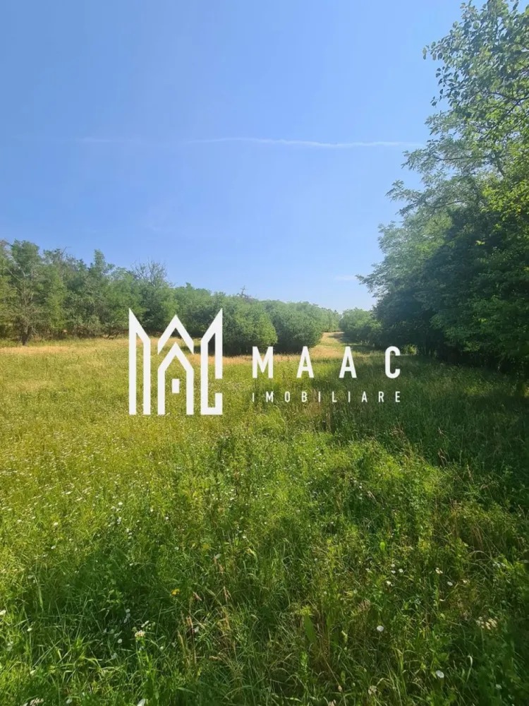 Teren | 12.922 MP | Loamneș - MAAC vă propune spre vânzare un teren generos situat în localitatea Loamneș, la doar 25 km de Sibiu, într-o zonă liniștită, cu aer curat și peisaje naturale specifice zonei de podiș transilvănean.

Proprietatea are o suprafață totală de 12.922 mp, fiind împărțită astfel:

2.547 mp intravilan – ideal pentru construcția unei locuințe
10.375 mp extravilan – perfect pentru grădinărit, agricultură sau investiție

Terenul beneficiază de utilități în apropiere, oferind un avantaj important pentru viitorii proprietari:

-apă deja trasă pe teren
-gaz și curent la stradă
-acces facil, cu drum asfaltat până aproape de proprietate

Zona Loamneș este apreciată pentru liniște, intimitate și proximitatea față de Sibiu, fiind o alegere excelentă atât pentru cei care doresc să construiască o casă departe de agitația orașului, cât și pentru investiții pe termen lung. Poziționarea terenului permite dezvoltarea unui proiect rezidențial, a unei ferme sau a unei gospodării complete.

Avantaje principale:

-suprafață mare, versatilă
-acces rapid către Sibiu
-utilități disponibile
-zonă în dezvoltare
-ideal pentru casă, fermă sau investiție

Pentru mai multe detalii și programarea unei vizionări, vă rugăm să ne contactați telefonic și să menționați : CP3046789