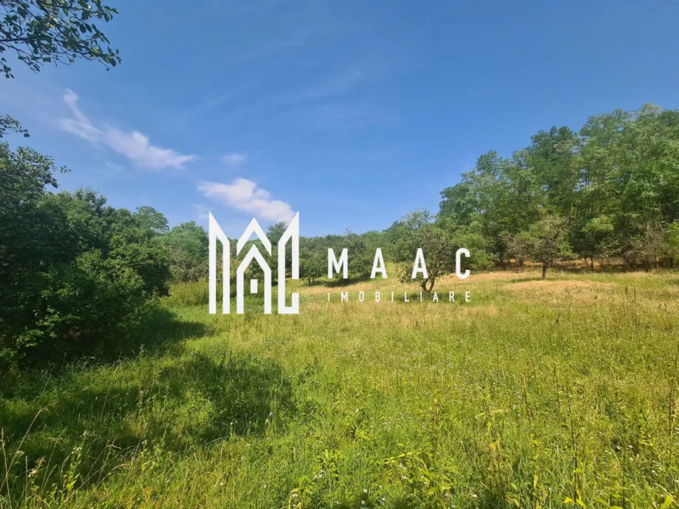 Teren | 12.922 MP | Loamneș - MAAC vă propune spre vânzare un teren generos situat în localitatea Loamneș, la doar 25 km de Sibiu, într-o zonă liniștită, cu aer curat și peisaje naturale specifice zonei de podiș transilvănean.

Proprietatea are o suprafață totală de 12.922 mp, fiind împărțită astfel:

2.547 mp intravilan – ideal pentru construcția unei locuințe
10.375 mp extravilan – perfect pentru grădinărit, agricultură sau investiție

Terenul beneficiază de utilități în apropiere, oferind un avantaj important pentru viitorii proprietari:

-apă deja trasă pe teren
-gaz și curent la stradă
-acces facil, cu drum asfaltat până aproape de proprietate

Zona Loamneș este apreciată pentru liniște, intimitate și proximitatea față de Sibiu, fiind o alegere excelentă atât pentru cei care doresc să construiască o casă departe de agitația orașului, cât și pentru investiții pe termen lung. Poziționarea terenului permite dezvoltarea unui proiect rezidențial, a unei ferme sau a unei gospodării complete.

Avantaje principale:

-suprafață mare, versatilă
-acces rapid către Sibiu
-utilități disponibile
-zonă în dezvoltare
-ideal pentru casă, fermă sau investiție

Pentru mai multe detalii și programarea unei vizionări, vă rugăm să ne contactați telefonic și să menționați : CP3046789