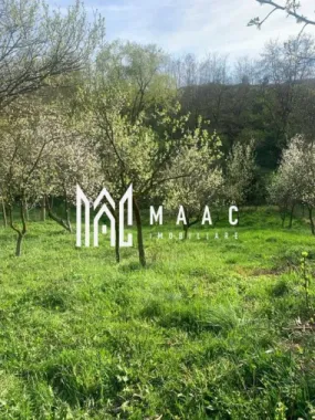 Casa Individuala I Acces Auto I Gradina I Rusi