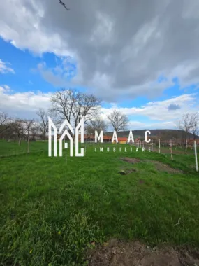 Casa individuala I Curte I Teren 1700 mp I Rosia