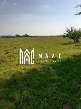 Logo MAAC IMOBILIARE logo