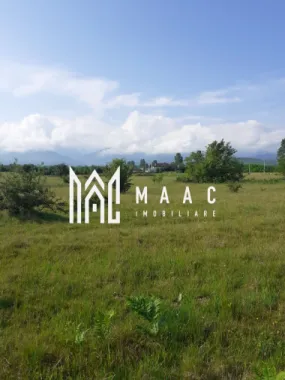 Teren | Intravilan |5.000 MP | Valea Avrigului