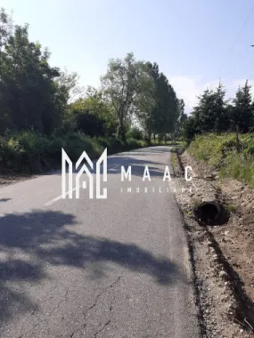 Teren | Intravilan |5.000 MP | Valea Avrigului