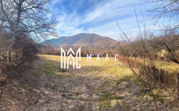 Teren intravilan I 2300mp I Zona Rasinari