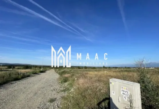 Logo MAAC IMOBILIARE logo