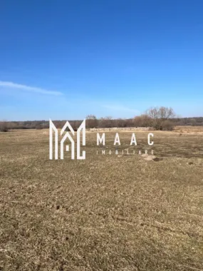 Logo MAAC IMOBILIARE logo