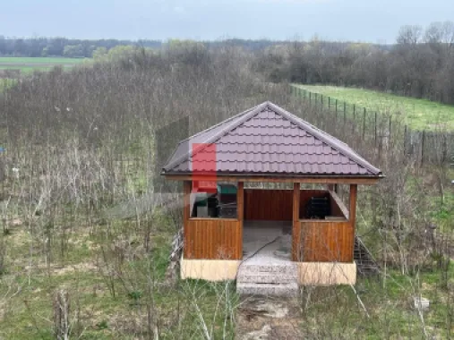 CASA CU TEREN DE 5000MP - JUDET GIURGIU 30KM DE BUCURESTI