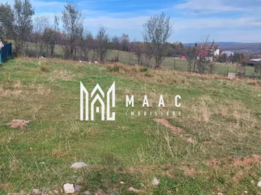 Teren intravilan I 1000 mp I Tocile - Sadu