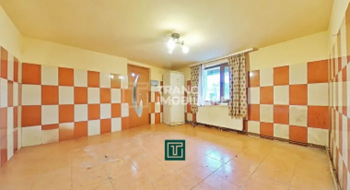 Casă de vânzare cu 4 camere în Zăbrani, teren 578 mp, front generos