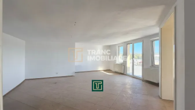 Proprietate multifunctionala - teren generos, cladire si hala in Lugoj